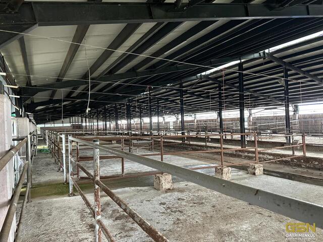 34-GSN GAYRİMENKUL'DEN AVRUPA STANDARTLARINDA RUHSATLI BESİÇİFTLİĞİ